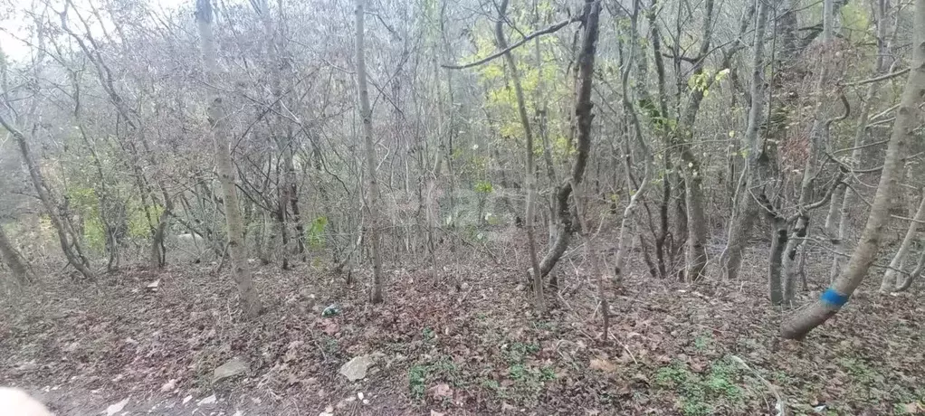 Участок в Краснодарский край, Новороссийск Родничок СНТ, 72 (6.35 ... - Фото 0