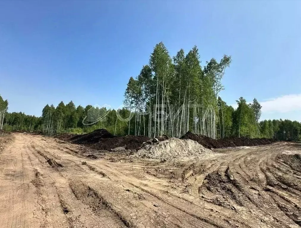 Участок в Тюменская область, Тюменский район Салаирский тракт, 14-й км ... - Фото 0