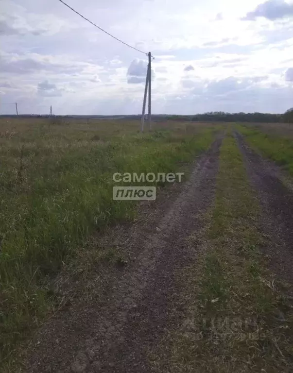 Участок в Курская область, Курск  (10.0 сот.) - Фото 1