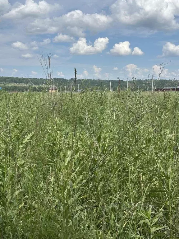 Участок в Курская область, Курск ул. Евгения Носова, 25 (10.0 сот.) - Фото 1