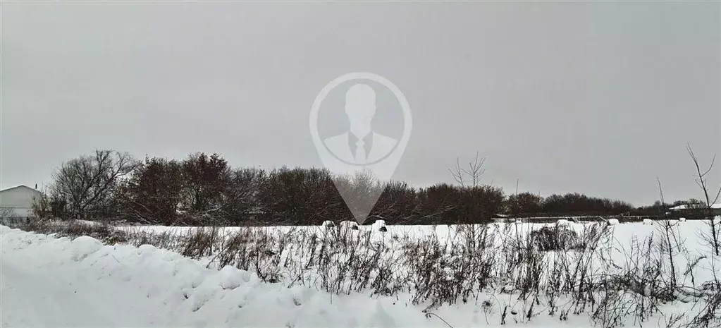 Участок в Рязанская область, Рыбновский муниципальный округ, с. ... - Фото 2