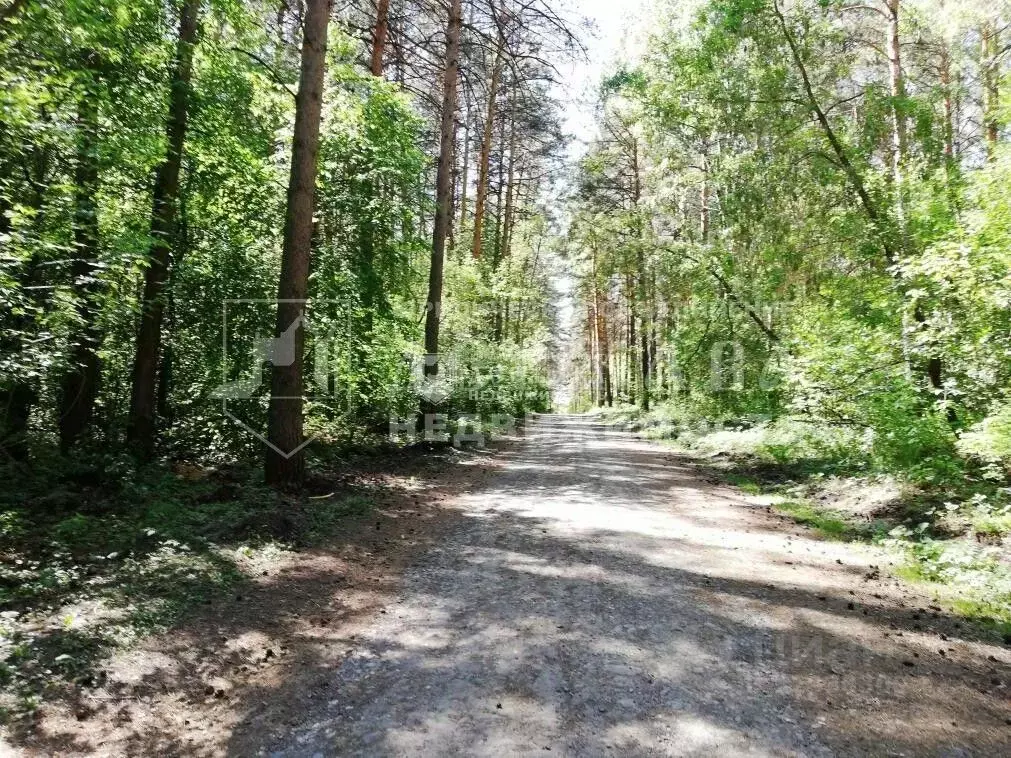 Дом в Кемеровская область, Кемеровский район, с. Мазурово ул. Э.А. ... - Фото 1