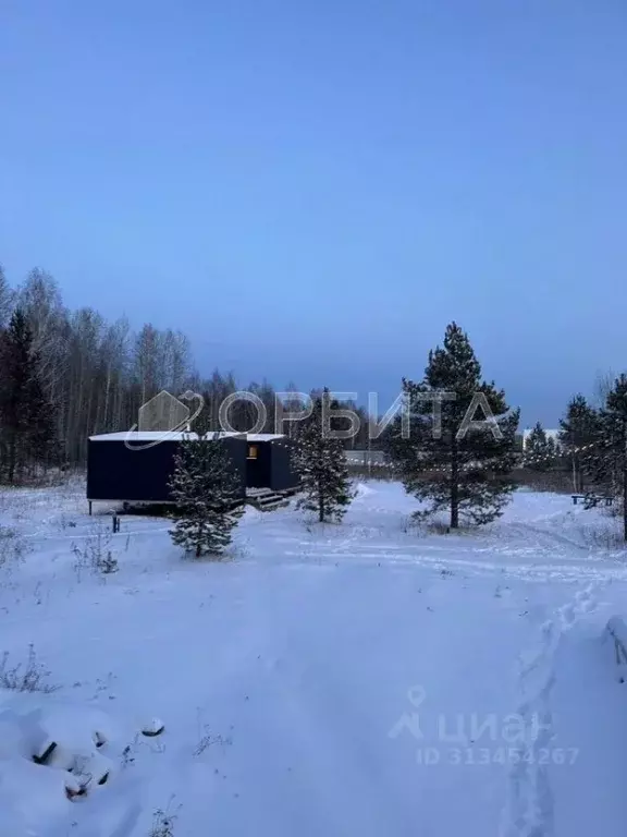 Участок в Тюменская область, Нижнетавдинский район, Сундукуль СНТ  ... - Фото 0