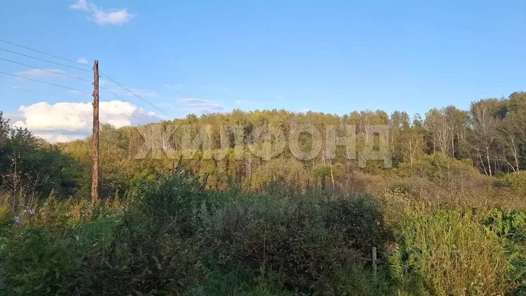 Участок в Нижегородская область, Семеновский муниципальный округ, ... - Фото 1