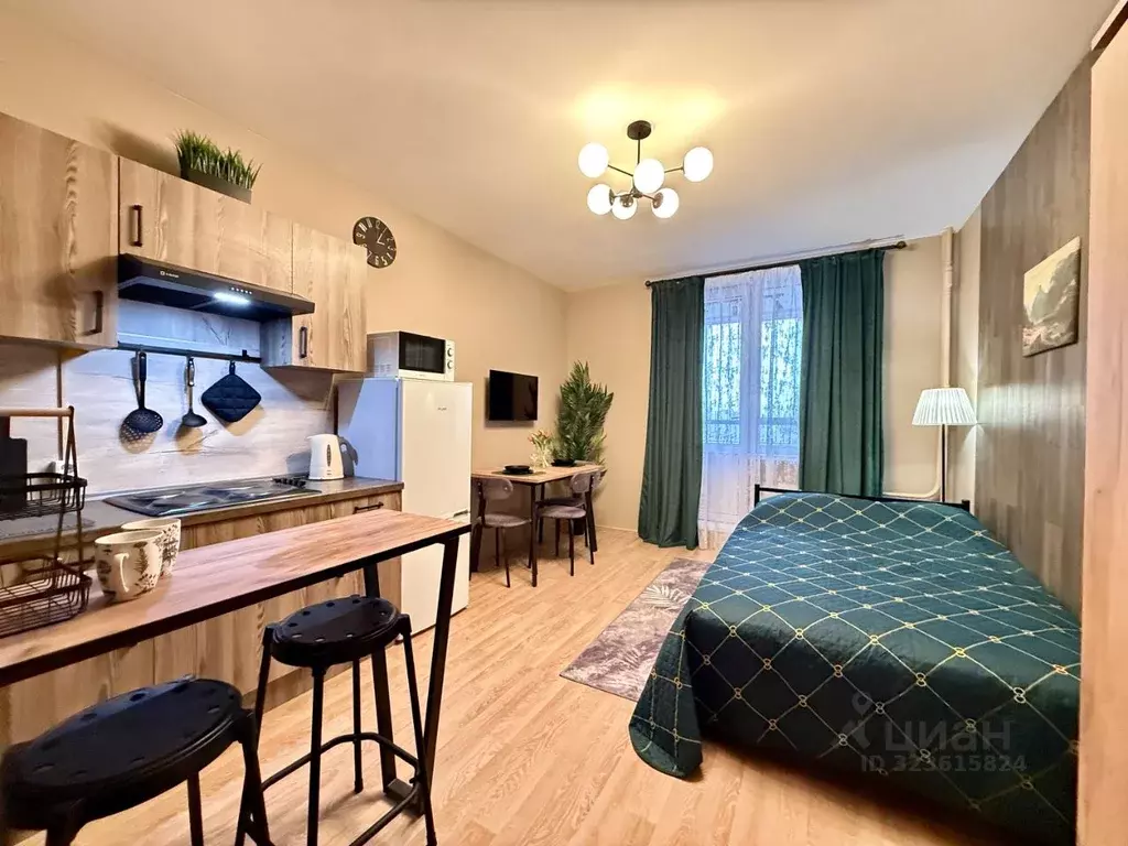 Студия Ленинградская область, Мурино Всеволожский район, просп. ... - Фото 1