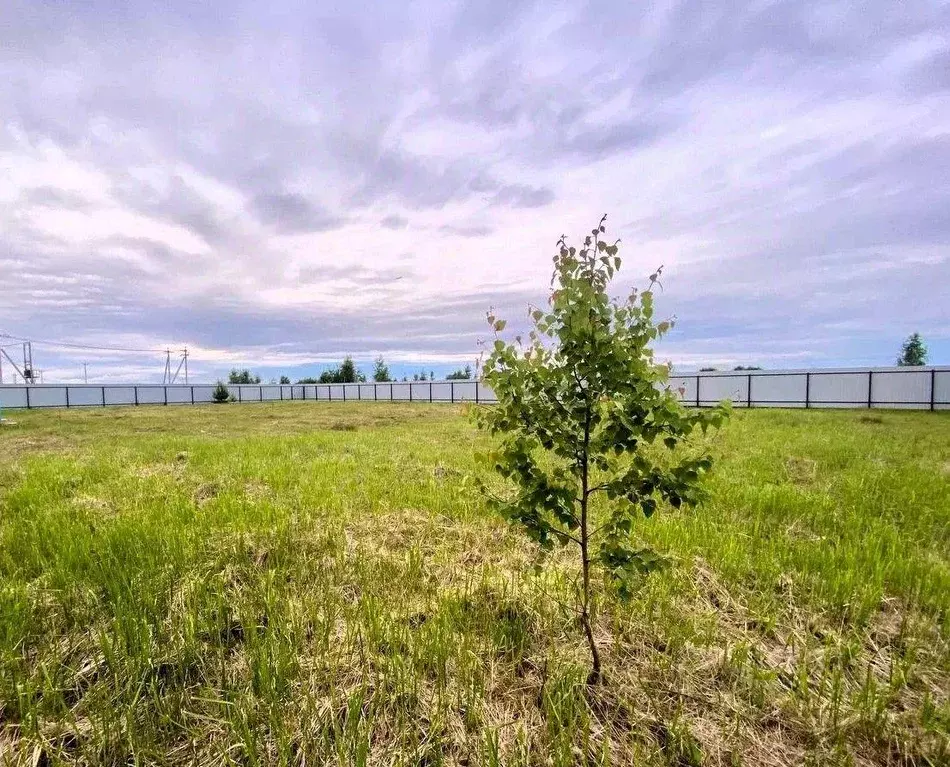 Участок, 8 сот., сельхоз (снт или днп) - Фото 2