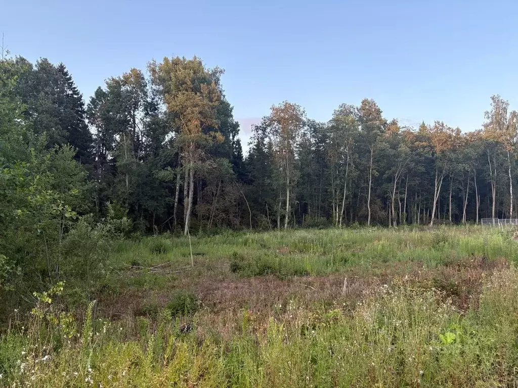 Участок в Московская область, Клин городской округ, д. Тихомирово ул. ... - Фото 2