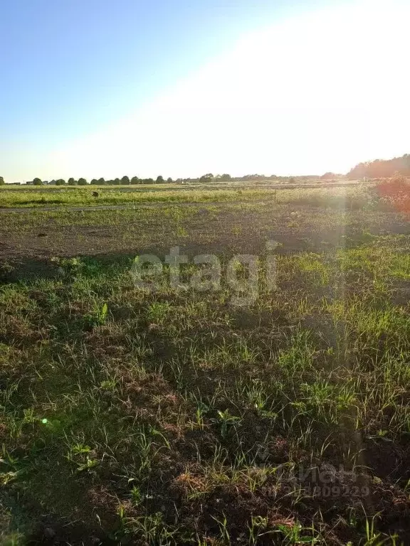 Участок в Ленинградская область, Ломоносовский район, Лопухинское ... - Фото 1