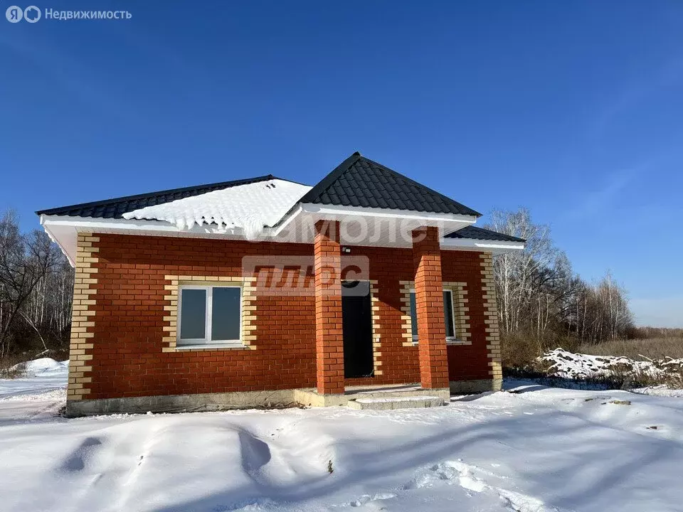 Дом в Амурская область, Благовещенский муниципальный округ, село ... - Фото 2