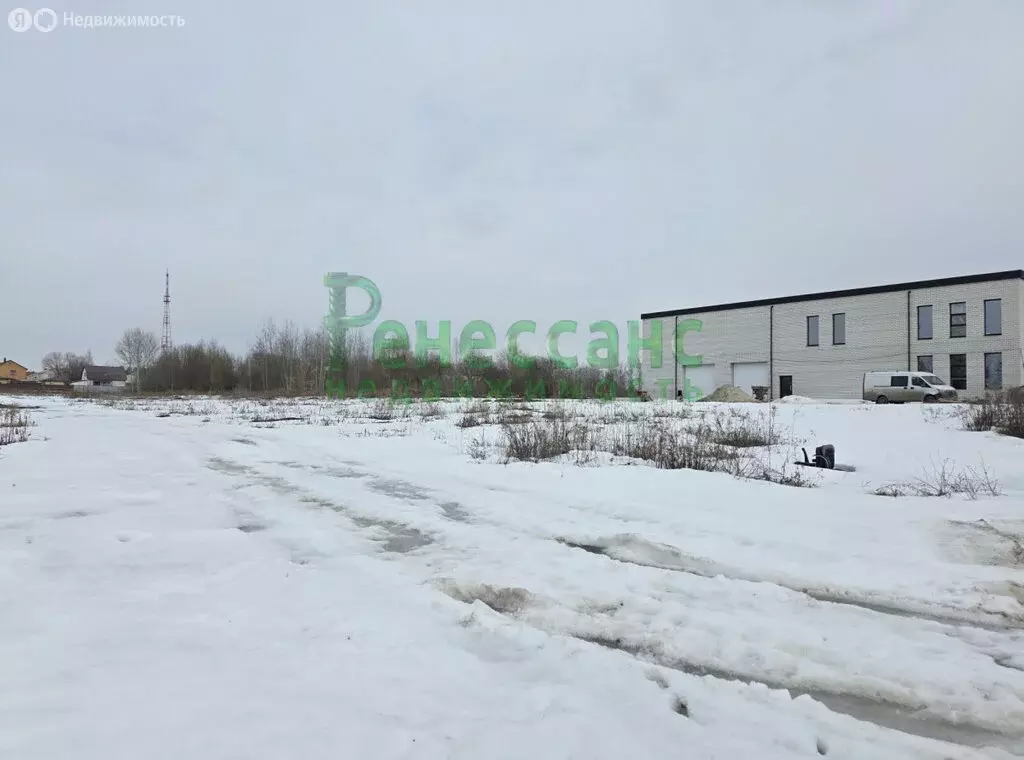 Участок в Брянский район, Супоневское сельское поселение, село ... - Фото 1