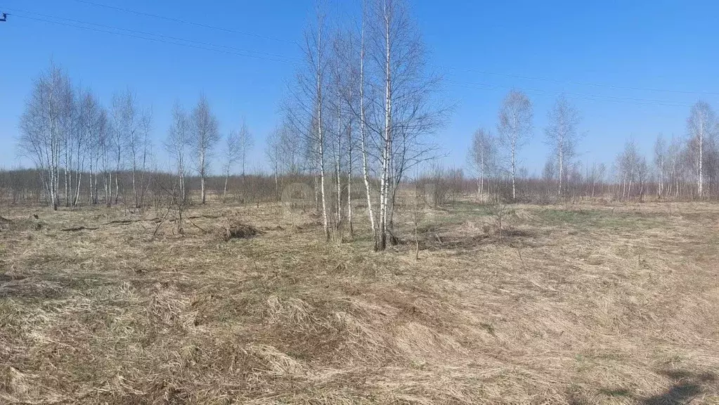 Участок в Смоленская область, Рославльский муниципальный округ, с. ... - Фото 1