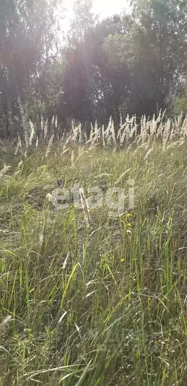Участок в Калужская область, Перемышль с/пос, д. Поляна  (14.0 сот.) - Фото 1