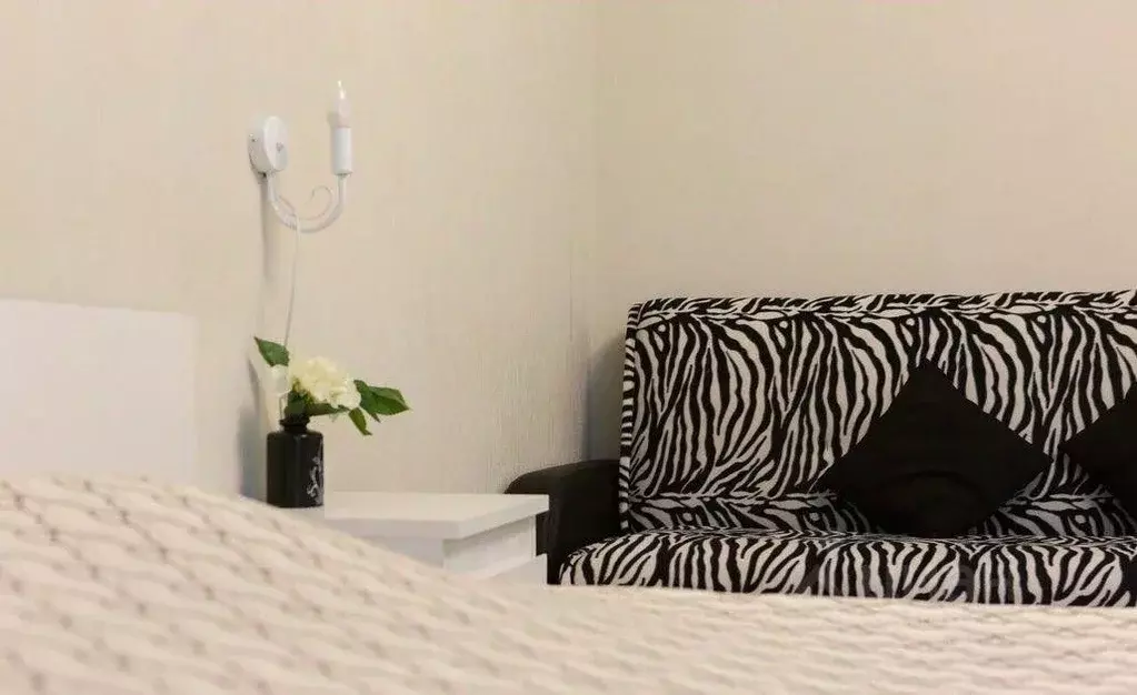 1-к кв. Московская область, Ногинск Богородский городской округ, ул. ... - Фото 2