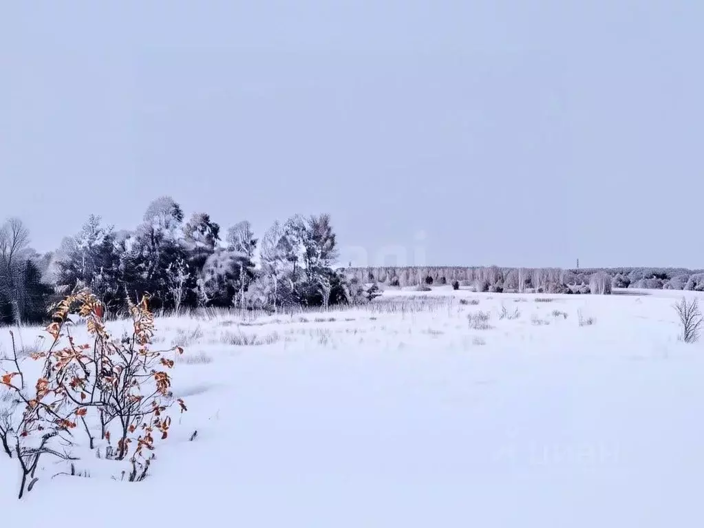 Участок в Смоленская область, Смоленский муниципальный округ, ... - Фото 1