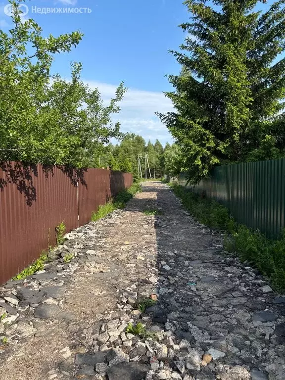 Участок в сельское поселение Большие Козлы, деревня Еловка (10 м) - Фото 0