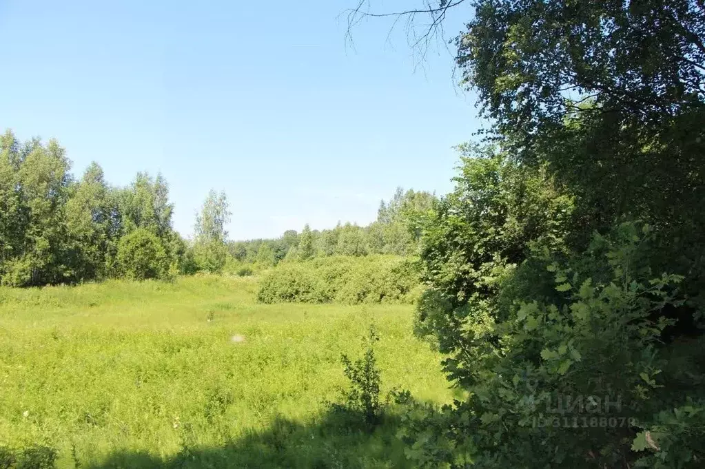 Участок в Московская область, Богородский городской округ, Вечерняя ... - Фото 0