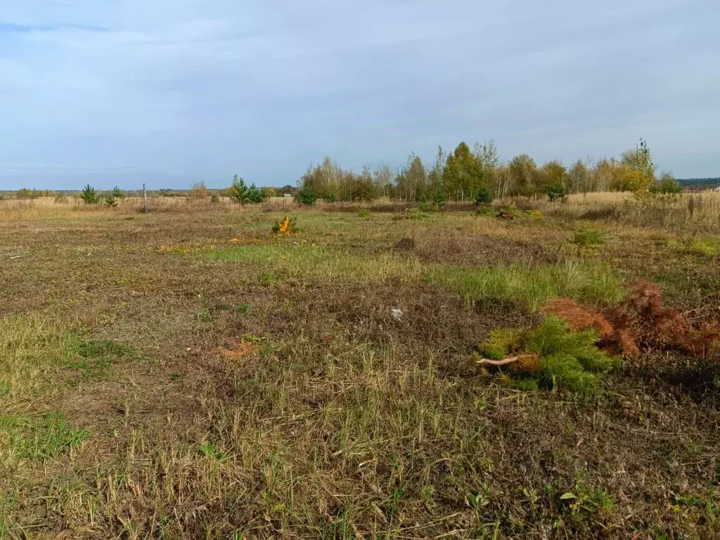Участок в Тамбовская область, Тамбов ул. Имени Марины Цветаевой (7.5 ... - Фото 1