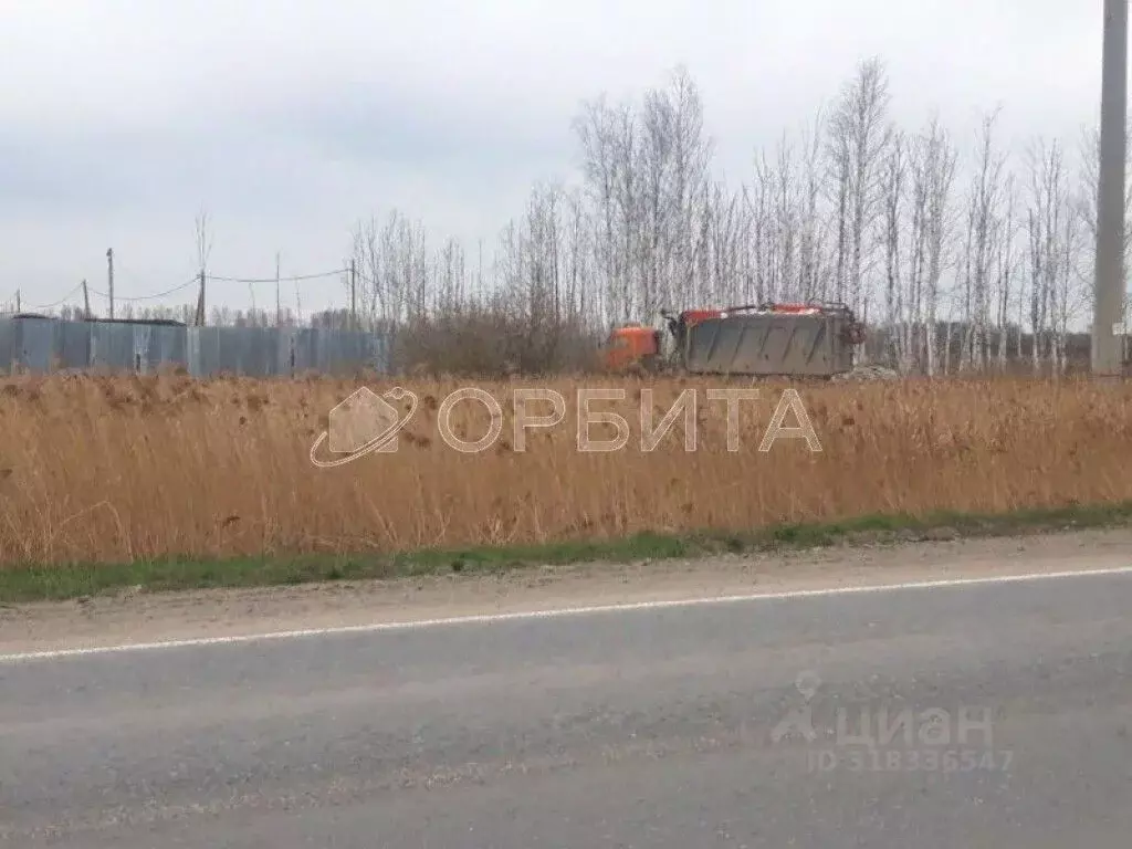 Участок в Тюменская область, Тюмень Велижанский тракт, 9-й км (129.05 ... - Фото 1