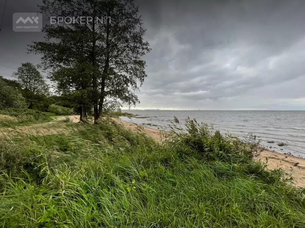 Участок в Санкт-Петербург Соловьиная ул., 15 (24.0 сот.) - Фото 2