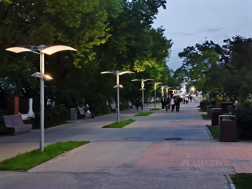 1-к кв. Московская область, Щелково Парковая ул., 9А (31.7 м) - Фото 1