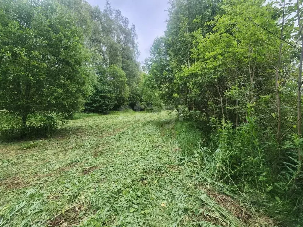 Участок в Костромская область, Красносельский район, Шолоховское ... - Фото 2