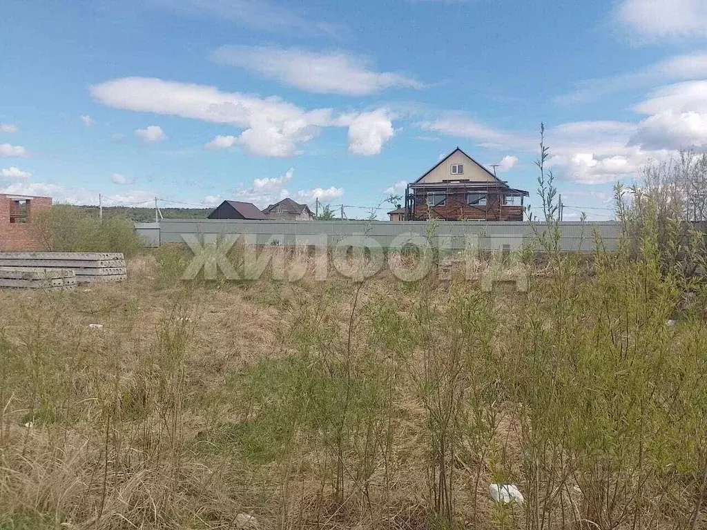 Участок в Амурская область, Благовещенск ул. Березовая (11.0 сот.) - Фото 1