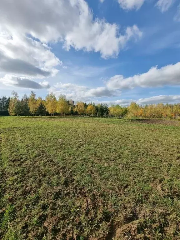 Участок в Владимирская область, Александровский муниципальный округ, ... - Фото 2