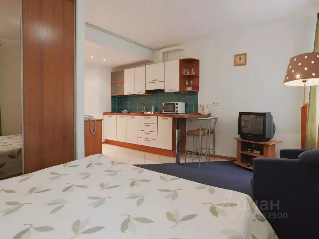 1-к кв. Санкт-Петербург Фурштатская ул., 45 (25.0 м) - Фото 1