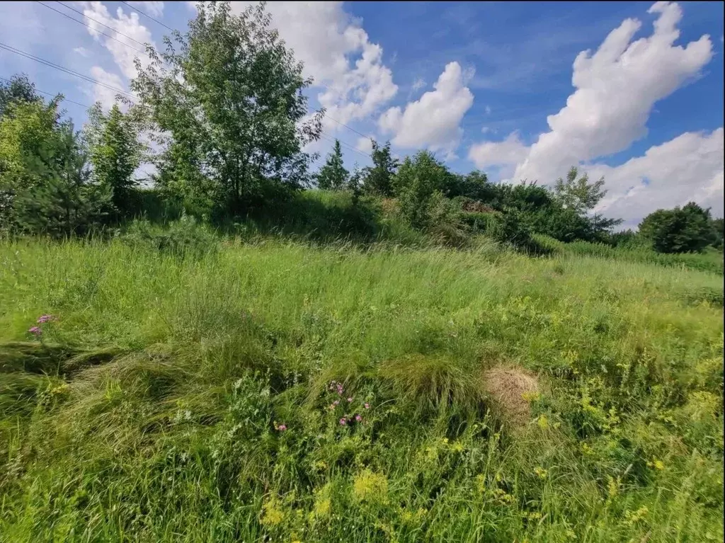 Участок в Московская область, Ленинский городской округ, д. Белеутово  ... - Фото 1