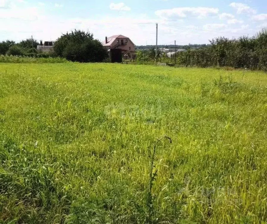 Участок в Курганская область, Кетовский муниципальный округ, с. ... - Фото 2