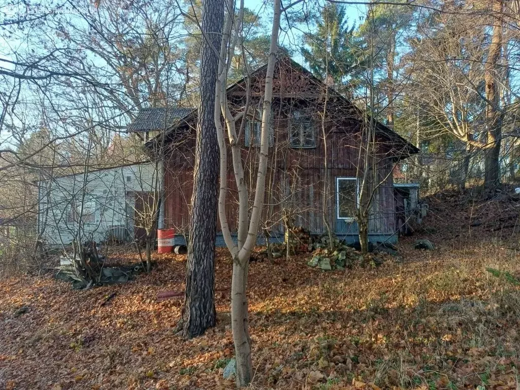 Участок в Светлогорск, улица Маяковского, 13 (12.94 м) - Фото 1