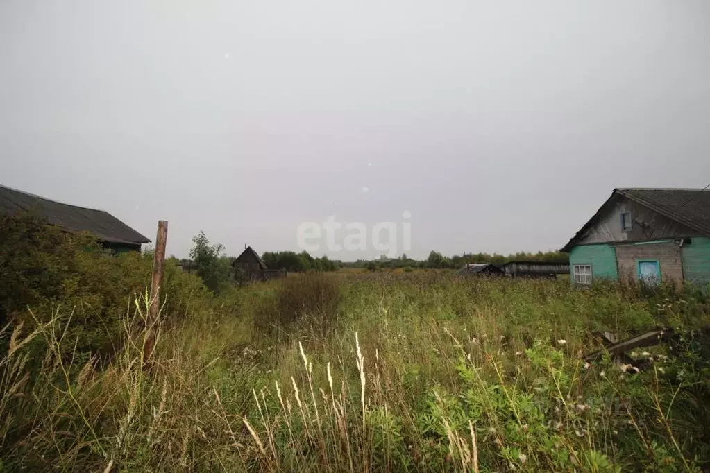 Участок в Вологодская область, Шекснинский район, Железнодорожное ... - Фото 1