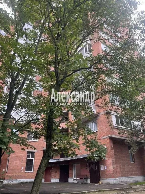 2-к кв. Санкт-Петербург Дибуновская ул., 37 (54.1 м) - Фото 1