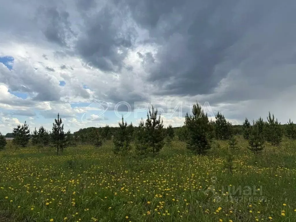 Участок в Тюменская область, Тюменский район, с. Горьковка Сибирская ... - Фото 1