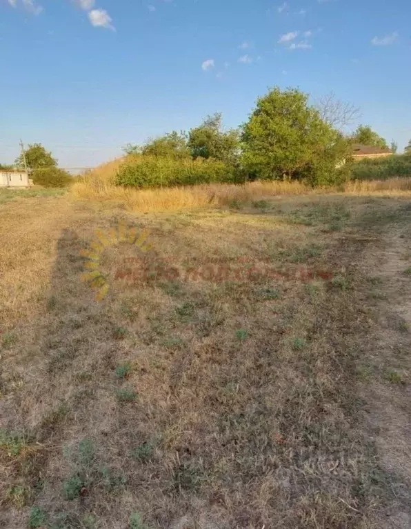 Участок в Краснодарский край, Щербиновский район, с. Николаевка ул. ... - Фото 2