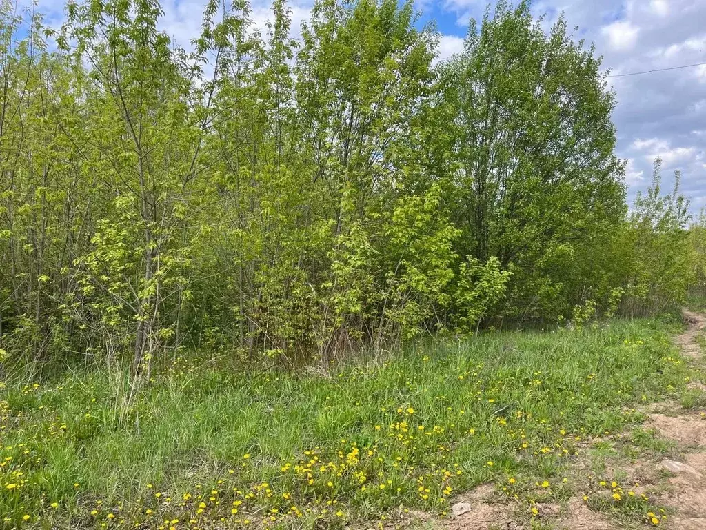 Участок в Московская область, Домодедово городской округ, д. ... - Фото 0