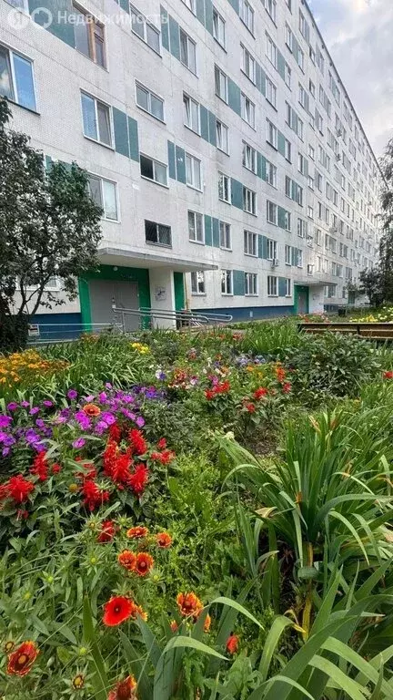 3-комнатная квартира: Набережные Челны, проспект Мира, 69 (49 м) - Фото 0