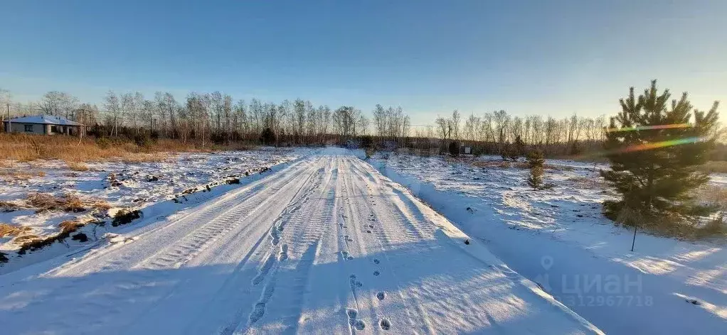 Участок в Тюменская область, Тюменский район, д. Паренкина  (6.0 сот.) - Фото 1