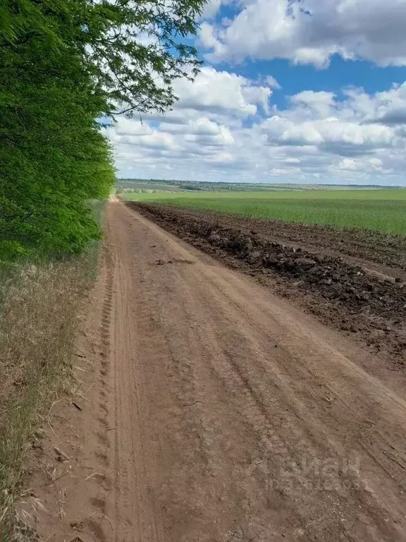Участок в Крым, Симферопольский район, с. Трудовое ул. Зеленая (4.0 ... - Фото 2