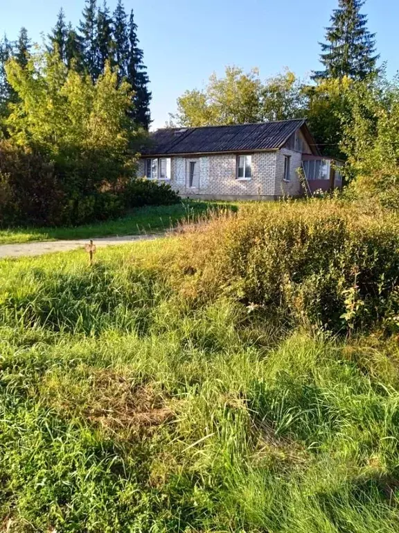 Дом в Псковская область, Псковский район, Карамышевская волость, с. ... - Фото 1
