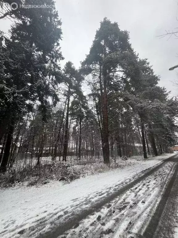 Участок в Московская область, городской округ Пушкинский, село ... - Фото 2