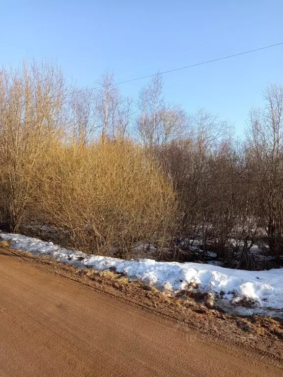 Участок в Новгородская область, Валдай Полевая ул. (15.0 сот.) - Фото 1