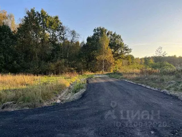 Участок в Московская область, Одинцовский городской округ, д. ... - Фото 1