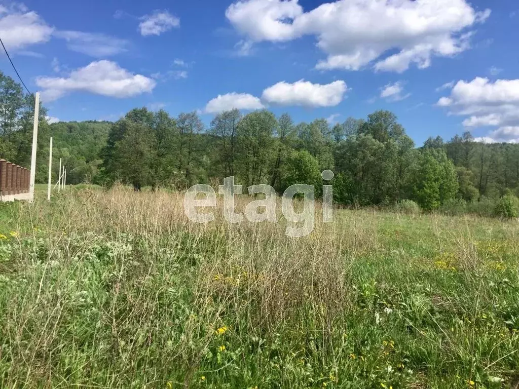 Участок в Мордовия, Кочкуровский район, с. Мурань Центральная ул. ... - Фото 1