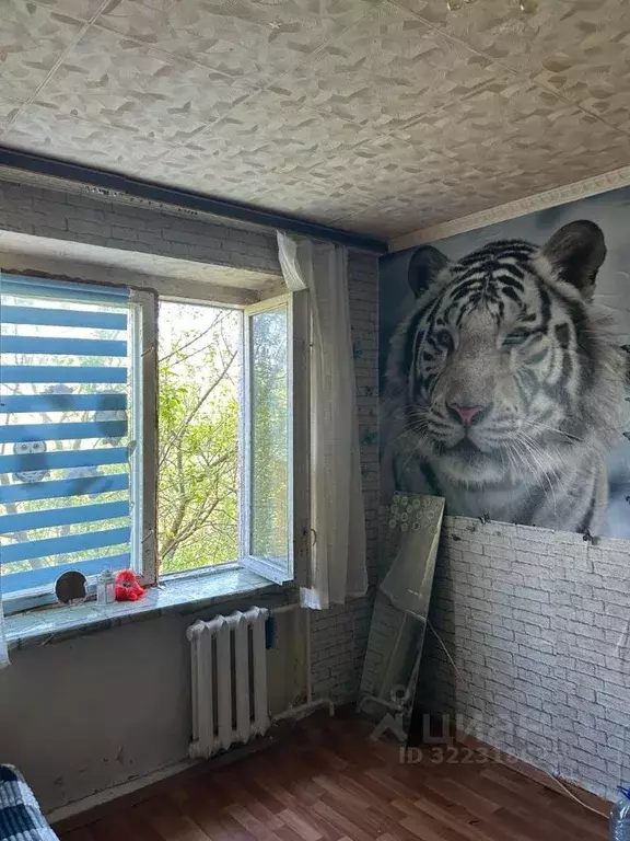 Комната Московская область, Подольск Климовск мкр, ул. Школьная, 8 ... - Фото 1