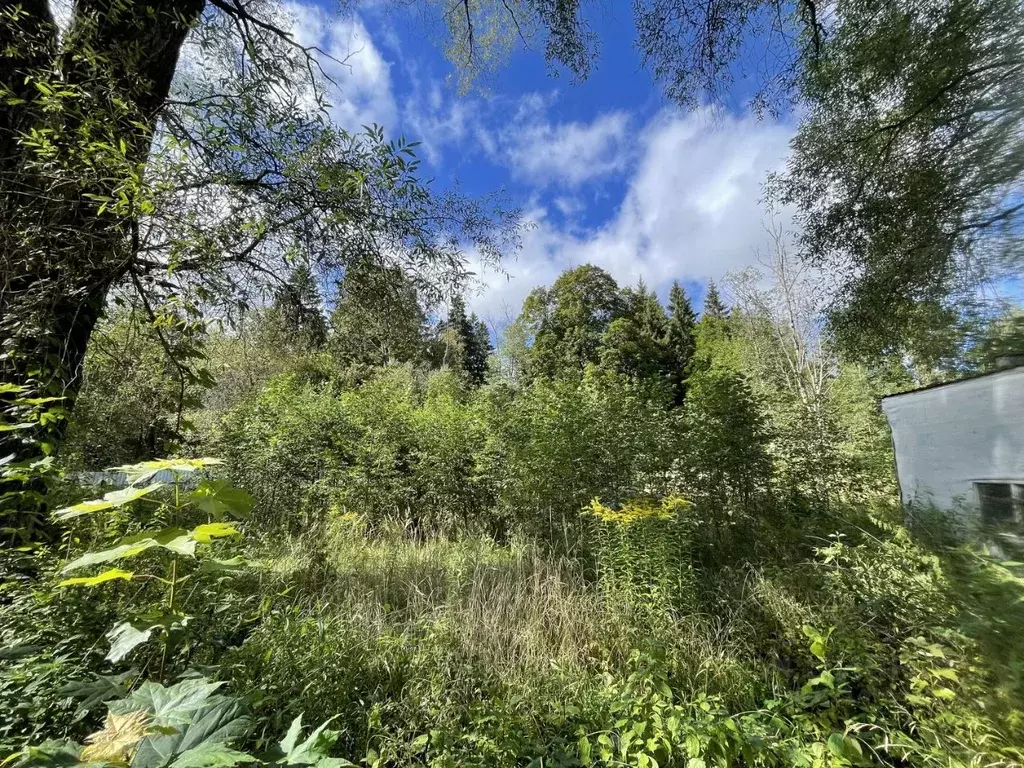 Участок в Москва д. Бурцево, 170 (64.0 сот.) - Фото 2