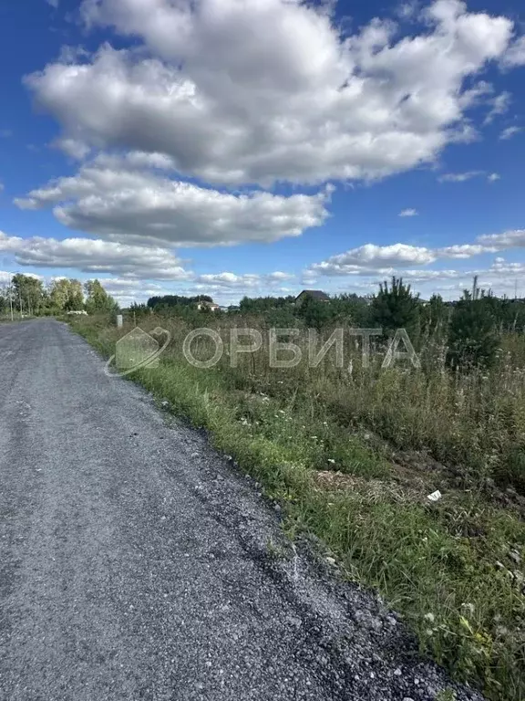 Участок в Тюменская область, Тюменский муниципальный округ, с. Каменка ... - Фото 1