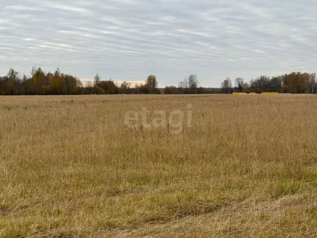 Участок в Костромская область, Красносельский район, Шолоховское ... - Фото 0