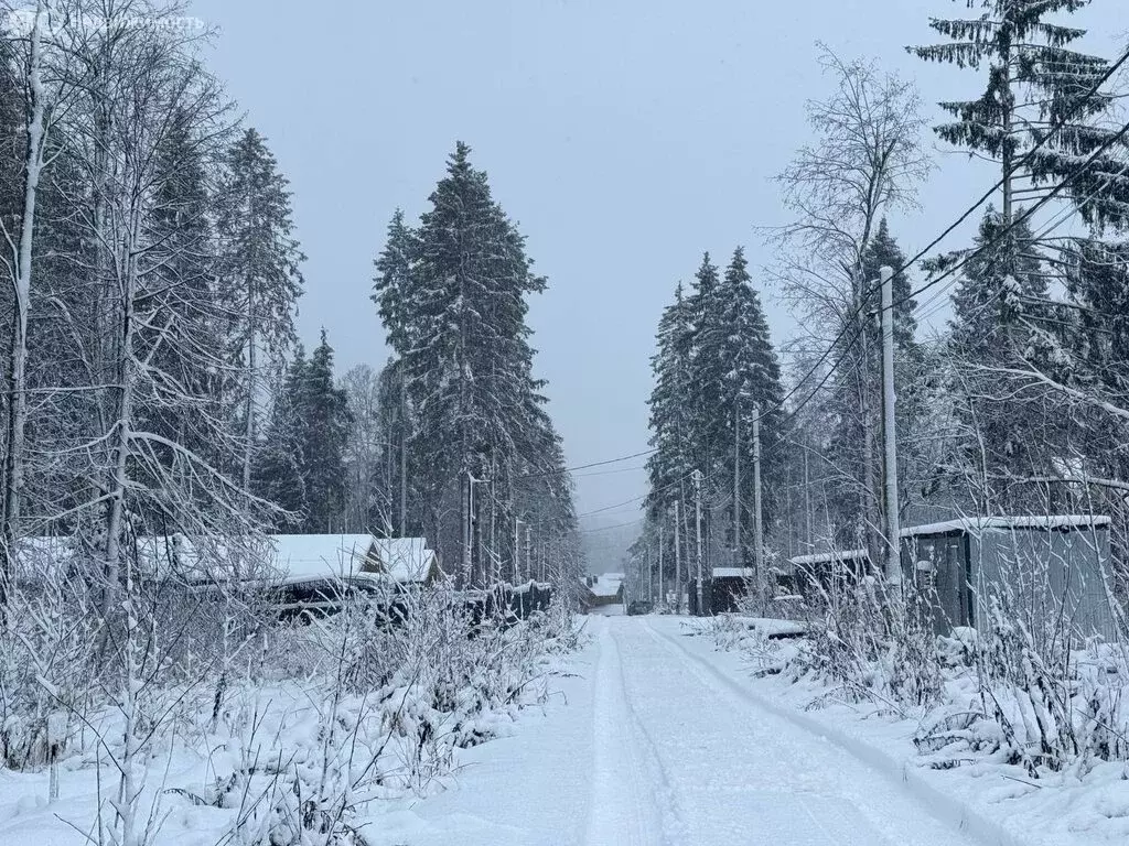 Участок в Московская область, Дмитровский муниципальный округ, ... - Фото 2