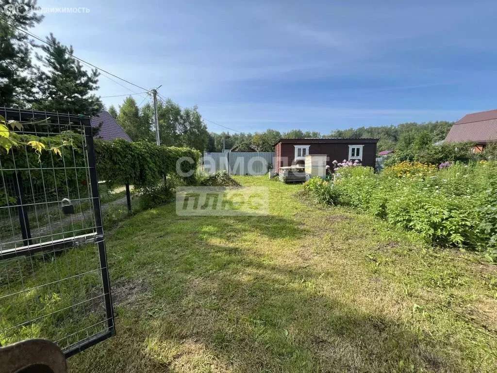 Участок в Владимирская область, Александровский муниципальный округ, ... - Фото 1